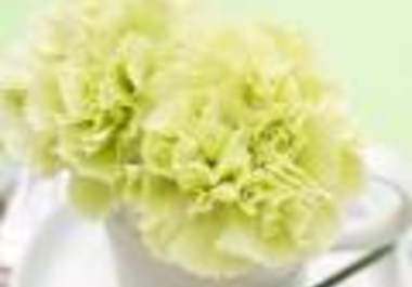 sell you 27 PLR articles on Catering big1
