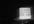 write 250 words about anything you want