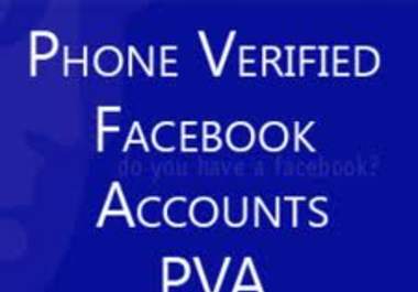 provide 5 facebook pva accounts big1