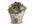 show you how to make USD14000 in 2 weeks