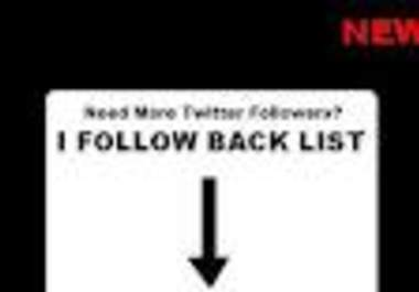 help You Stop Spending Money Buying Twitter Follower and Give You An Active List of Over 100000 Twitter  Users Who Will Follow You Back big1