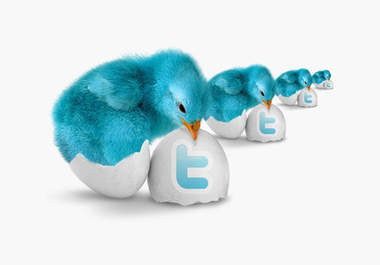 tweet your products or services to OVER 11,000 followers 20 times With screenshot big1