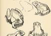 draw anything you want