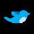 twitterexpert07