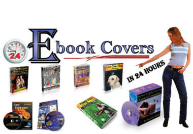design in less than 24 hours 3d EBOOK covers big1