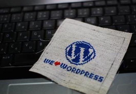 add affiliate links and optin form on your Wordpress blog big1