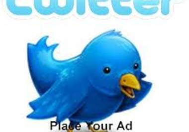 tweet your information to my 9,500+ followers on Twitter big1
