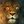 lionsinc101