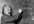 make Albert Einstein to write anything you want on his chalk board for 5 messages and pictures