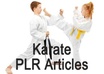 give you 34 premium PLR karate articles