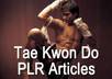 give you 5 premium PLR Tae Kwon Do articles