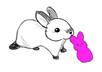 draw a colored picture of an animal for you