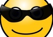 tell you 5 fun facts and cool sayings about any category