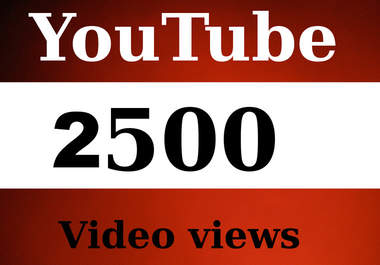give you Guaranteed 2500 Real Human Youtube Views To your Youtube Video big1