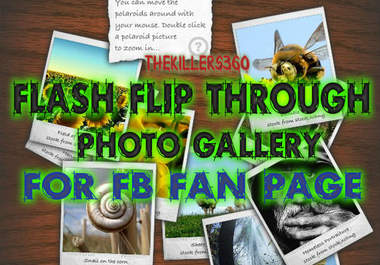 give the HOTTEST flash photo slideshow gallery for your facebook fanpage big1