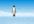 make a UNIQUE Video in which Penguin will Write Your Message on ice