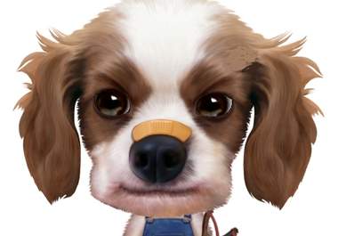 record your commercial, or personal, message on video, with Bobby, my animated cartoon dog, big1