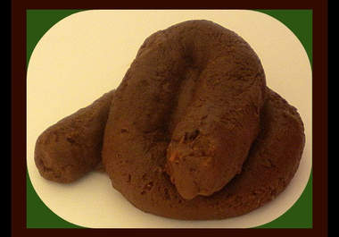 make you a poop soap big1