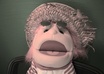 make you a web video with this puppet small1