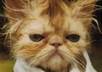 give you a permanent PR3 blogroll link in the real estate niche which has low obl
