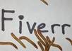 record mealworms crawling across your message small1