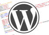 setup,fix,move,optimize Wordpress CMS/Blog/Themes and also setup many Plugins