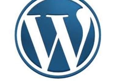 give you a random, potentially ugly, and unique wordpress theme big1