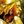 oshun