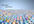create this amazing social NETWORK wave video