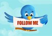 teach you how to send your website's RSS feed to your twitter followers