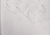 draw a picture of ANYTHING you want