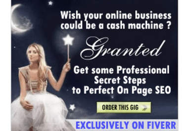 look at your website and tell you my Secret Steps to Perfect On Page SEO big1