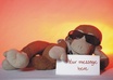 send you 3 HQ photos of my Monkey holding your custom message or logo