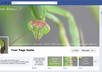 design matching Facebook TIMELINE cover and profile photo with app thumbnails and share page to 10K+ Fb/Twitter/Linkedin connections addons