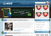 develop and design attractive website or blog on wordpress for you