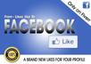 Fiverr_fb_likes