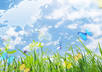 help you to organize and prioritize your life so that you have less stress