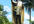 take a pic holding your logo in front of this Hawaiian Statue