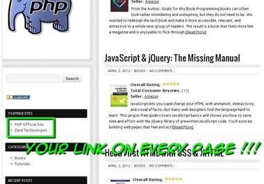 place a back link to your website on my PHP programming tutorial google page rank 2 website blog big1
