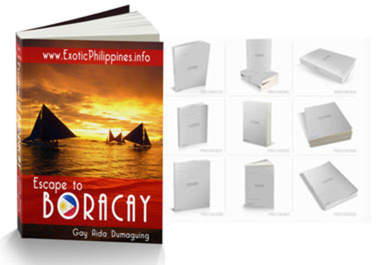 make you a simple and professional 3D ebook cover big1