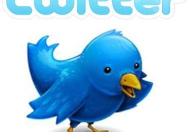 tweet your business or anything else you want to over 1,300+ Twitter followers big1