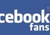 send 2000 Quality Facebook Likes to your fanpage without any admin access only Real users from USA
