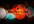 create an amazing intro video