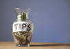 graciously accept your tip for my hard work small1