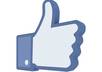 guarantee 300+ REAL facebook likes, no admin rights needed small1