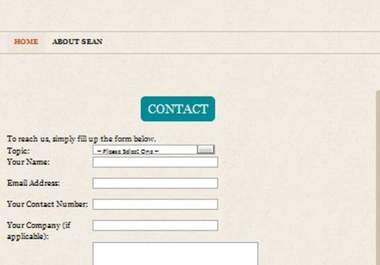 insert a PROFESSIONAL Contact Us form on your Wordpress site with any fields of your choice big1