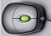 Mouse_pic2