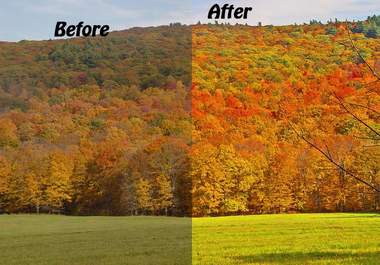 enhance any 2 of your digital photos big1