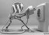 Plugin