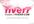 make this full HD, professional, minimalistic particle logo or text reveal for your business